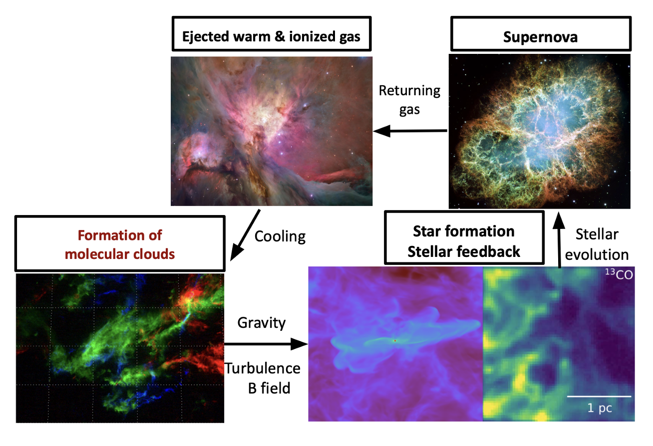 Astro Segmentation Thumbnail